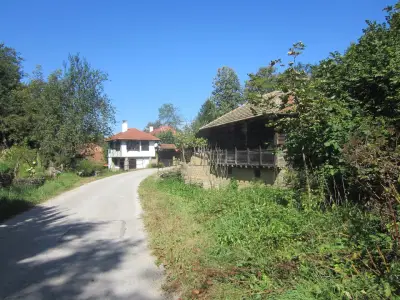 House Aglaia