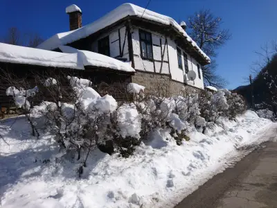 House Aglaia