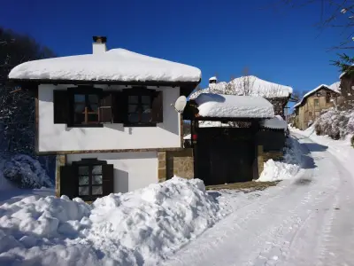 House Aglaia