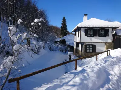 House Aglaia