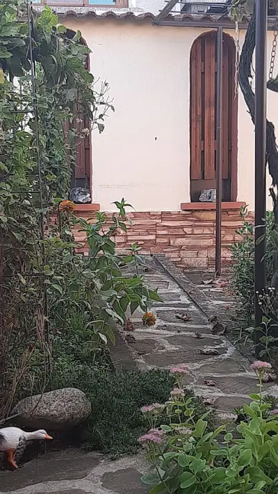 Koliu Malchovata House