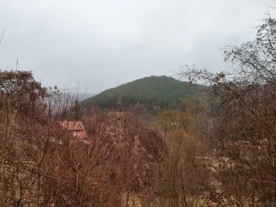 Пощенска станция 2236