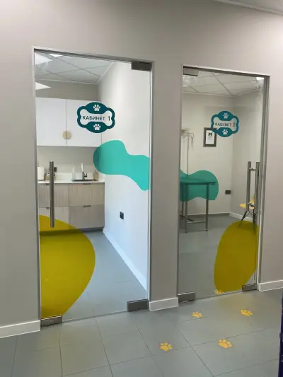 Ветеринарна клиника Ветика / Vetika Veterinary Clinic