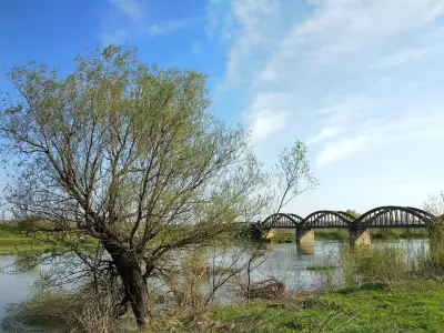 Петрол Гложене