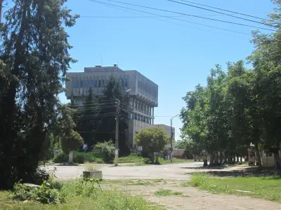 Кметство Койнаре