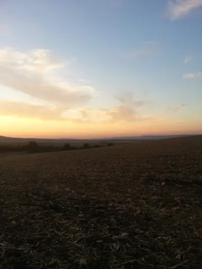 Анчовата къща