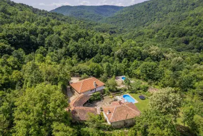 Къща за гости Живата гора