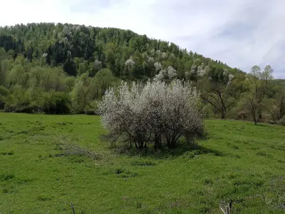 “Къща за гости Белица”