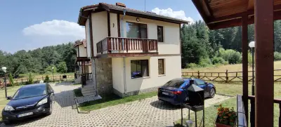 Вили "Видеви"