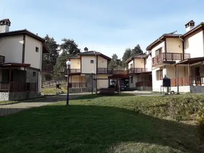 Вили "Видеви"
