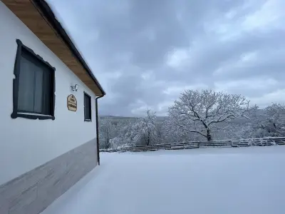 Къща Райкови