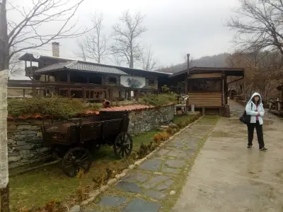 Guesthouse Avenue
