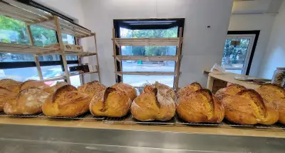 Пекарна за ръчен хляб с квас. Bakery "Моят Хляб"
