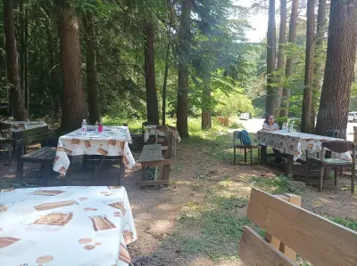 Горски пункт (пицария бирария)