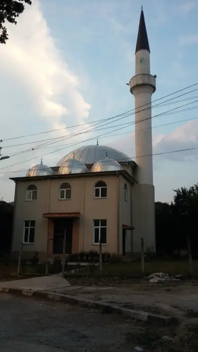 Джамия Лопушна