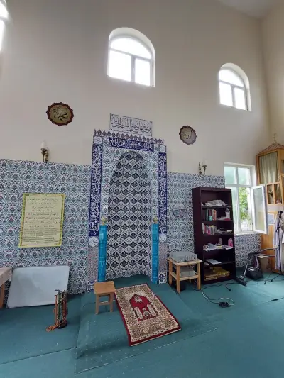 Джамия Лопушна