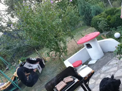 Бензиностанция Petrol, Невестино