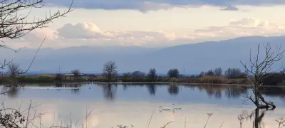 Кметство Шишманци