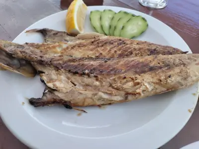 Снек - бар Дюните