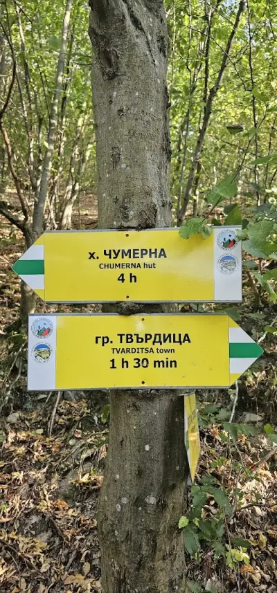 Водопад Скоковете