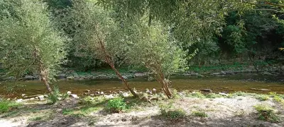 Плажът на Янтра