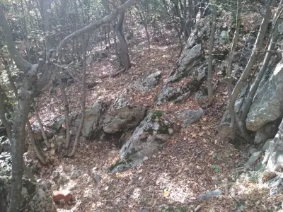 Пещера „Змееви дупки“