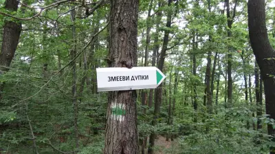 Пещера „Змееви дупки“