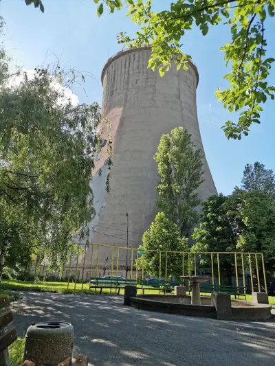 Боянска роза ООД