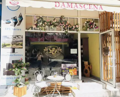 ДАМАСКЕНА ООД
