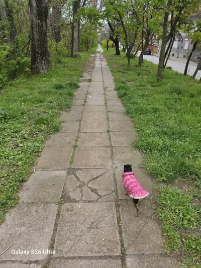 ДЕТСКИ ОЧЕН ЦЕНТЪР ИЗГРЕВ