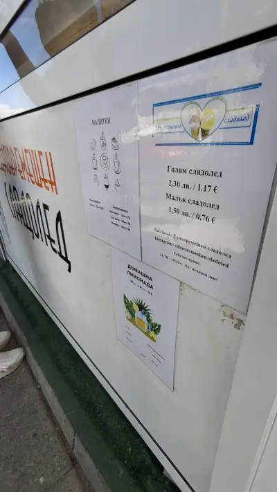 Едновремешен сладолед