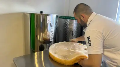Gut2be Комбуча
