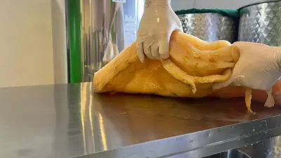 Gut2be Комбуча