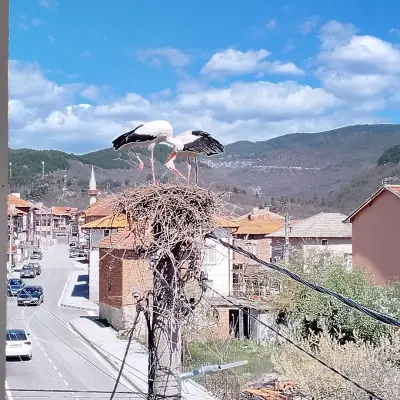 Самуил къща за гости