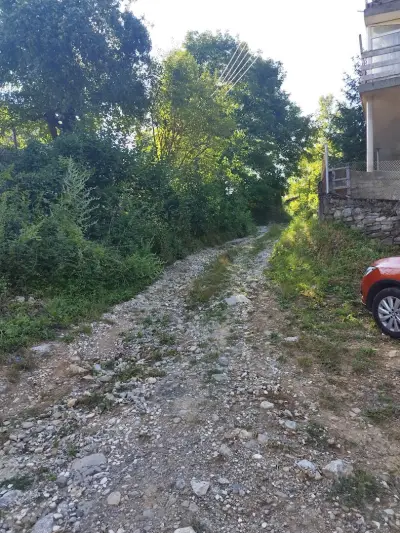 Къща за гости,, Приятели “