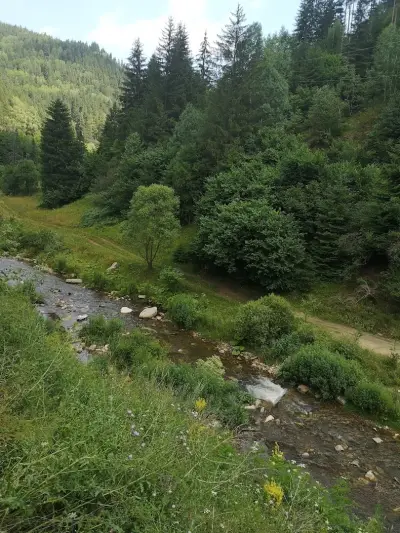 Къща за гости,, Приятели “