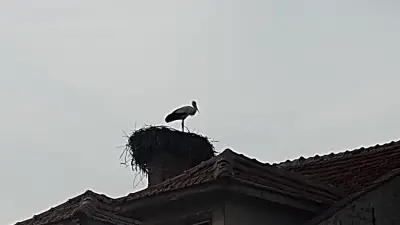 Център Долна баня