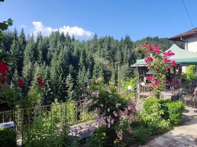 Къща за гости Столетникът