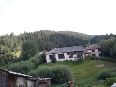 Къща за гости Мечта