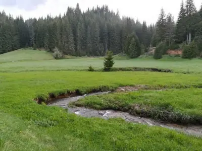 Кума Лиска Къща за Гости