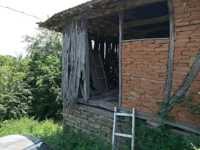 Д-Р ДАНЧЕВ, НИКОЛАЙ С.