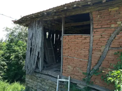 Д-Р ДАНЧЕВ, НИКОЛАЙ С.