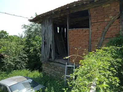 Д-Р ДАНЧЕВ, НИКОЛАЙ С.