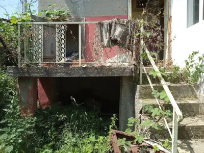 Д-Р ДАНЧЕВ, НИКОЛАЙ С.