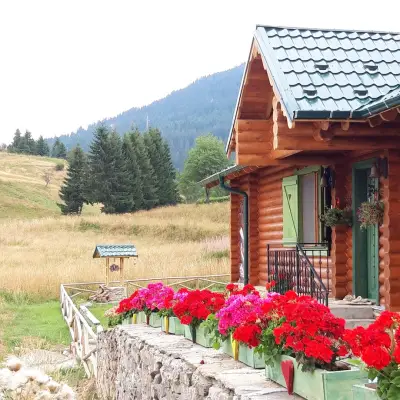 Stoykite-Pamporovo Nature Retreat