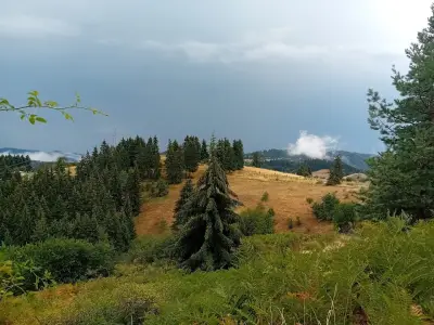 Къща за гости Бъчваровь