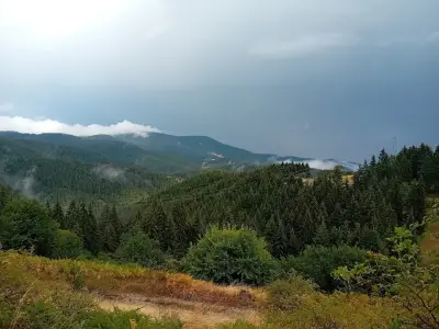 Къща за гости Бъчваровь