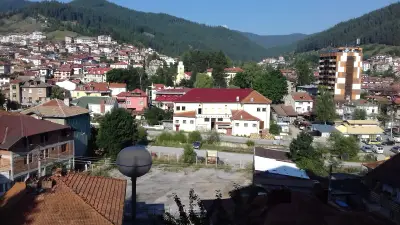 Самостоятелни стаи Метаксинови