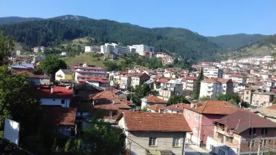Самостоятелни стаи Метаксинови