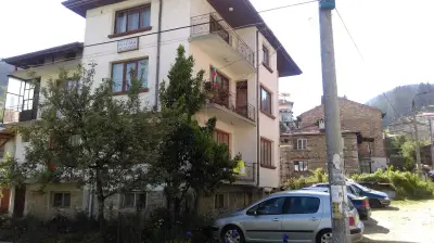 Самостоятелни стаи Метаксинови